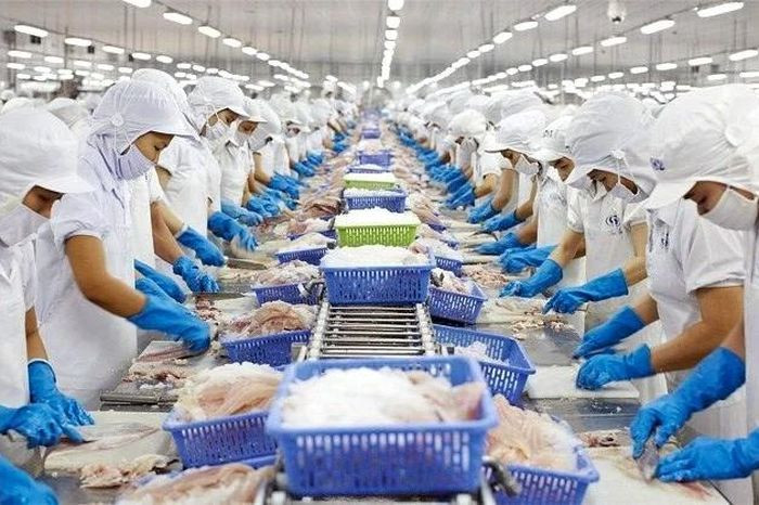 Vietnam's economy to remain resilient in 2025, says ADB