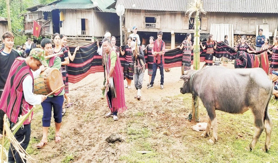 Pa Ko people renew spiritual bond with mountain gods in Quang Tri