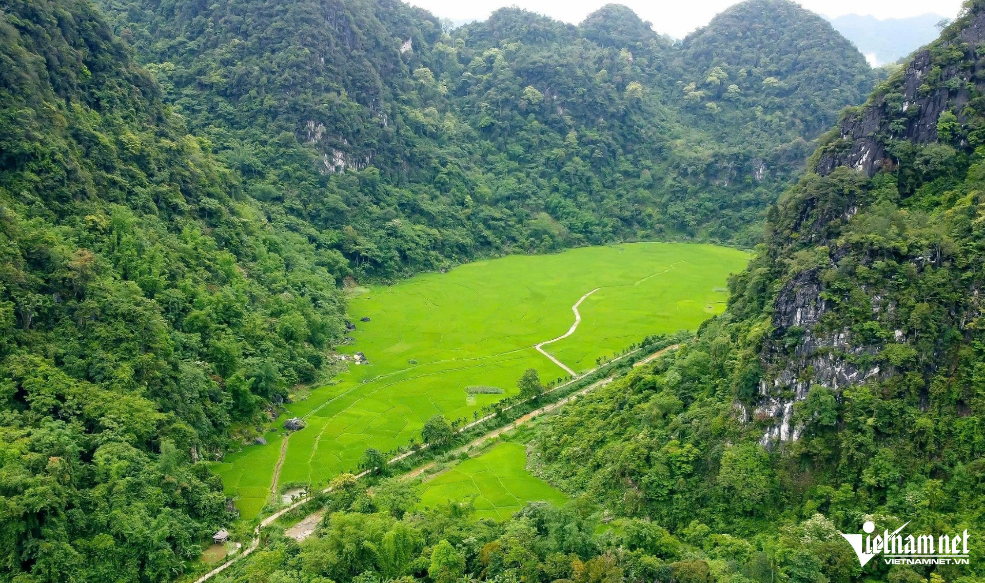 W-a1Khách tây thích thú khám phá hang Dơi.jpg