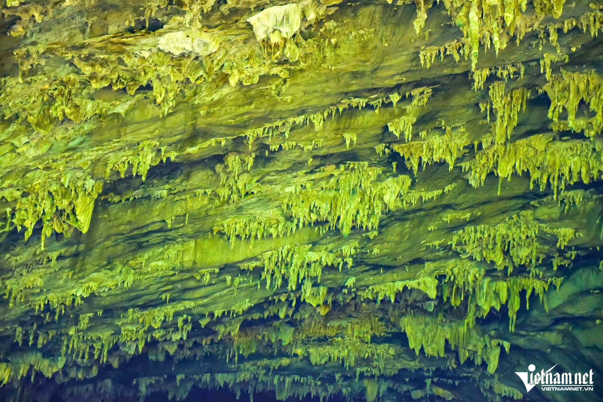 W-a1Ngay từ những bước chân đầu tiên.jpg