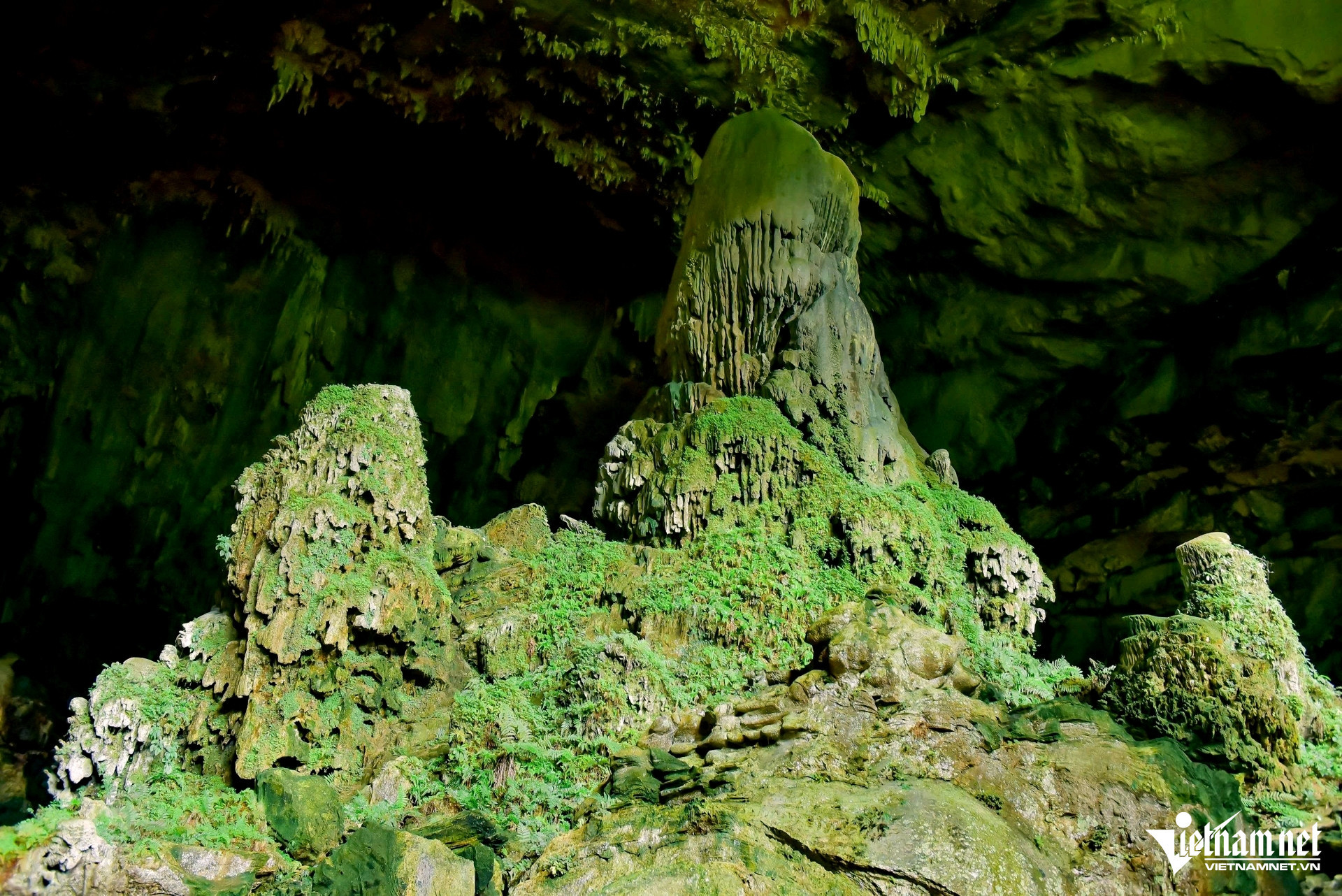 W-a6Khách tây thích thú khám phá hang Dơi.jpg