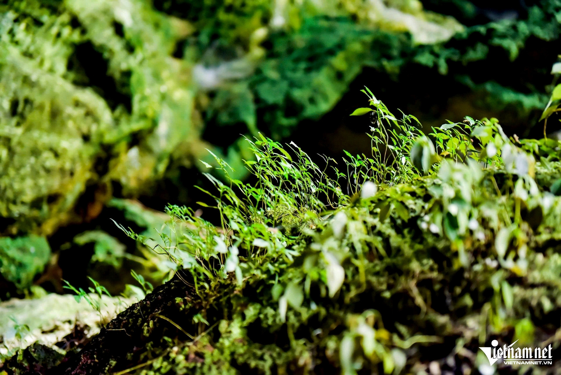 W-a2Ngay từ những bước chân đầu tiên.jpg