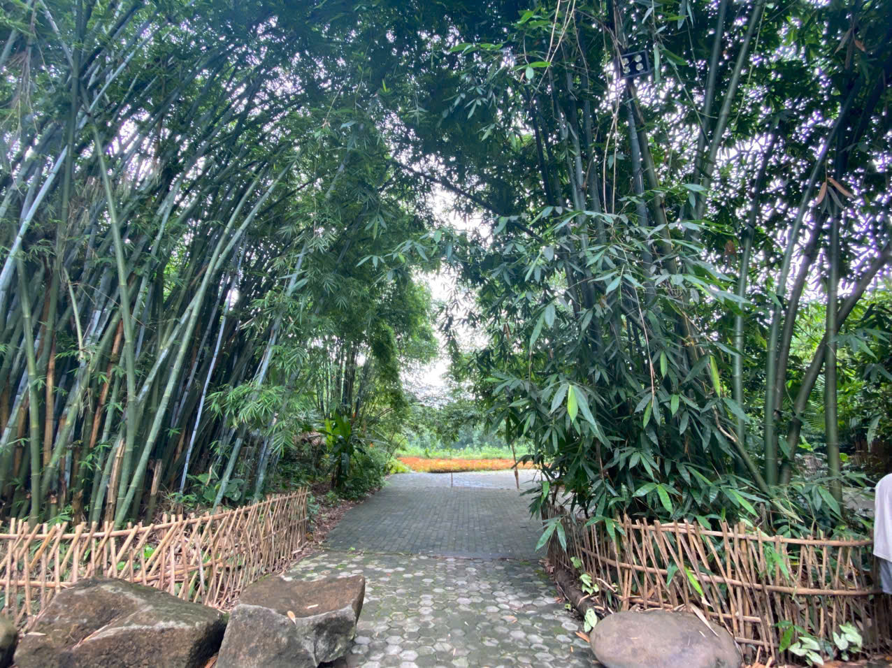 vietnam village.jpeg