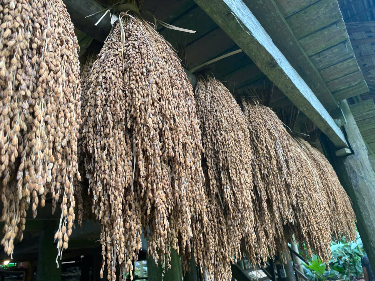 vietnam village4.jpeg