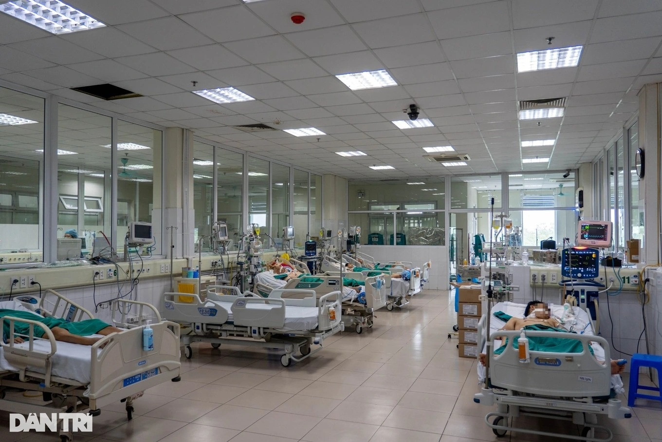 Dengue cases double in Hanoi as nationwide infections climb