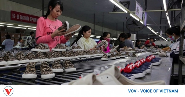 Five years of EVFTA keep Vietnam-EU trade on stable ground