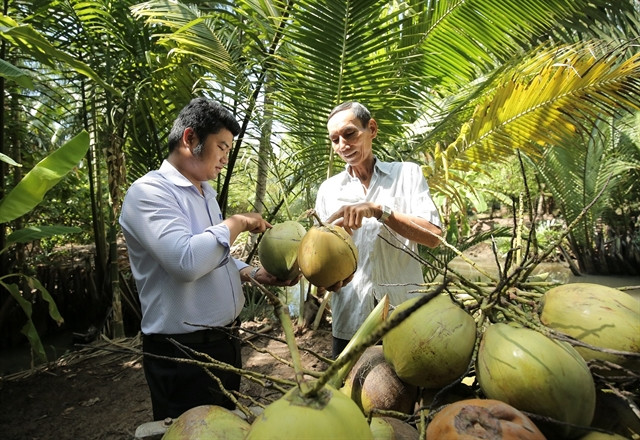 Merging localities promote restructuring of key agricultural products