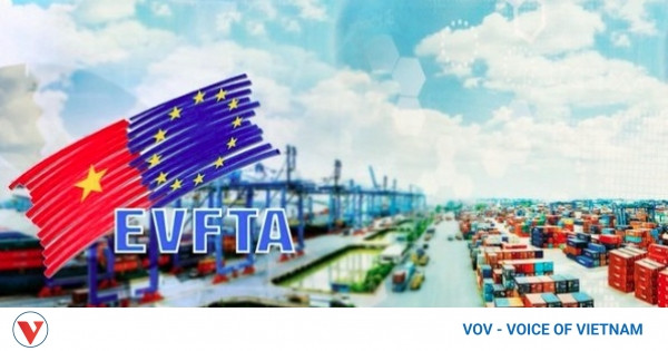 Five years of EVFTA fuel growth in Vietnam-France trade