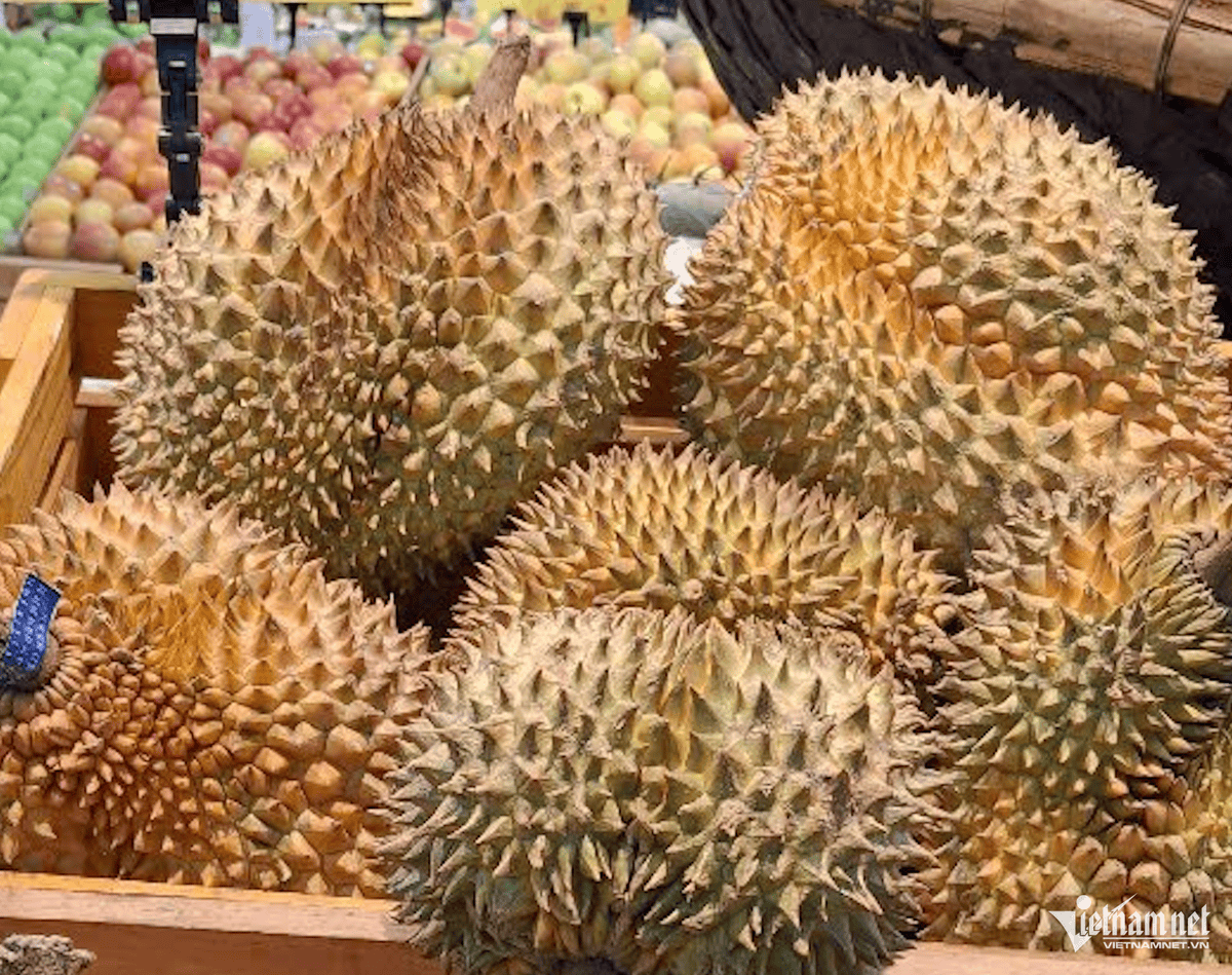 durian (1).png