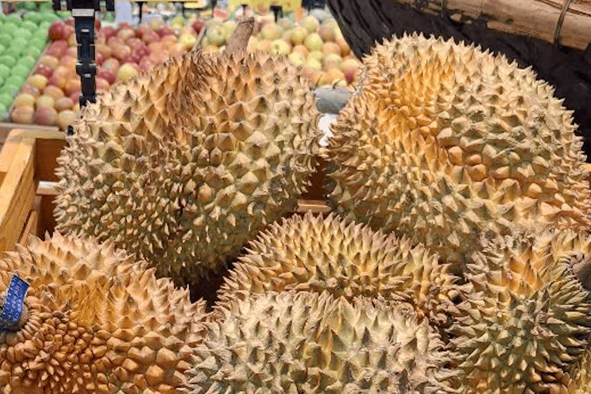 Vietnamese durian receives good news from China, staging remarkable recovery