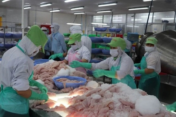 Vietnam, Brazil boast huge potential for trade cooperation