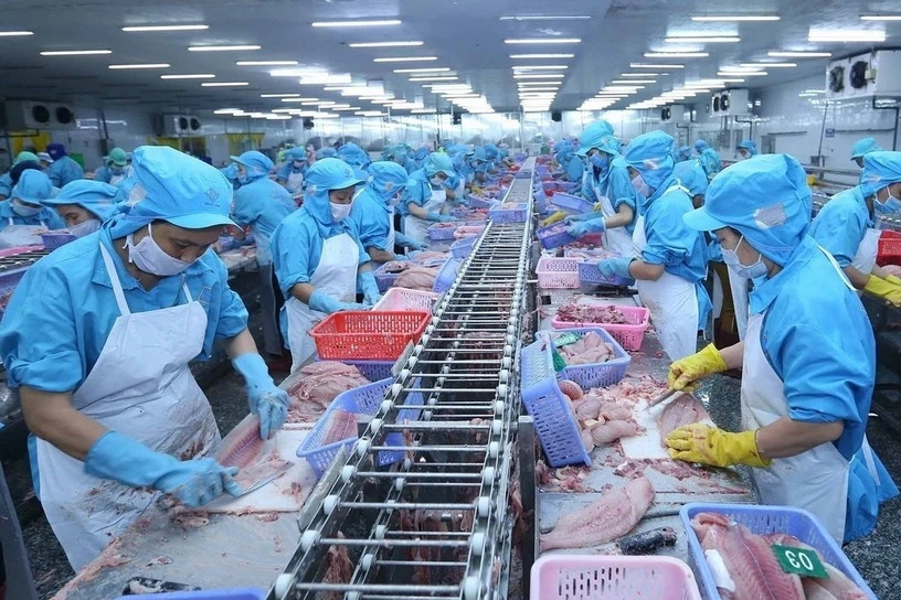 Vietnam’s aquatic exports slow amid unpredictable challenges