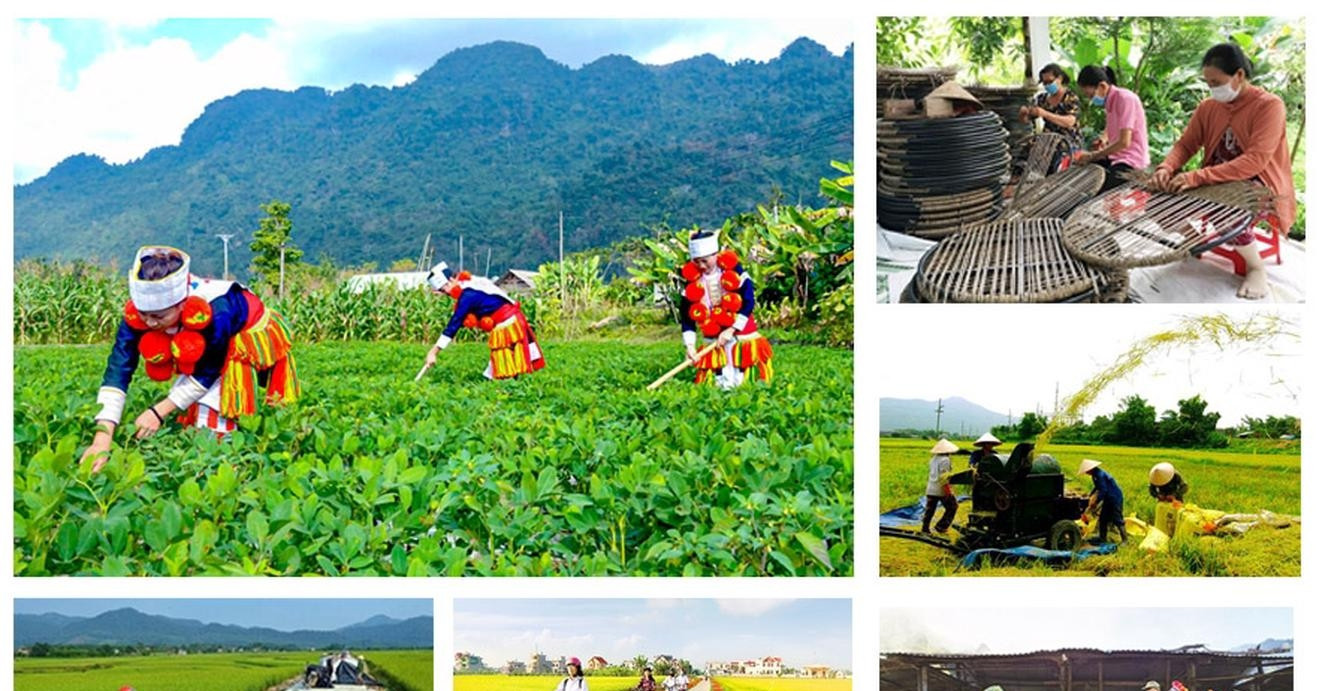 Highlights from Vietnam's Ministry of Ethnic and Religious Affairs in H1/2025