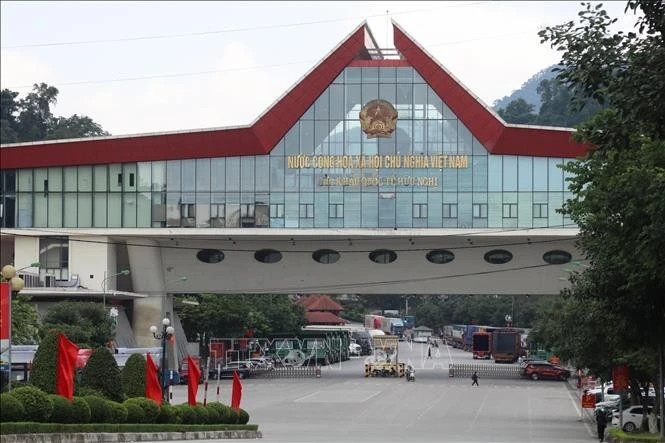 State budget revenue from import-export rises over 10% in H1