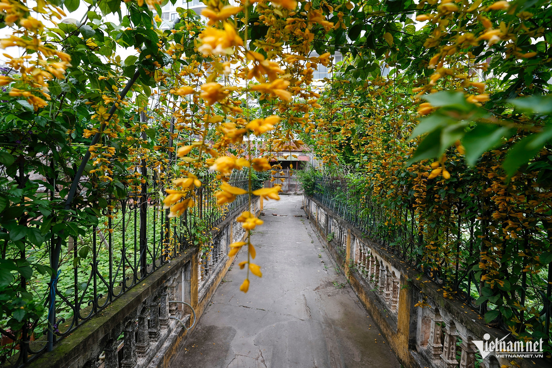 vietnam pagoda10.jpg