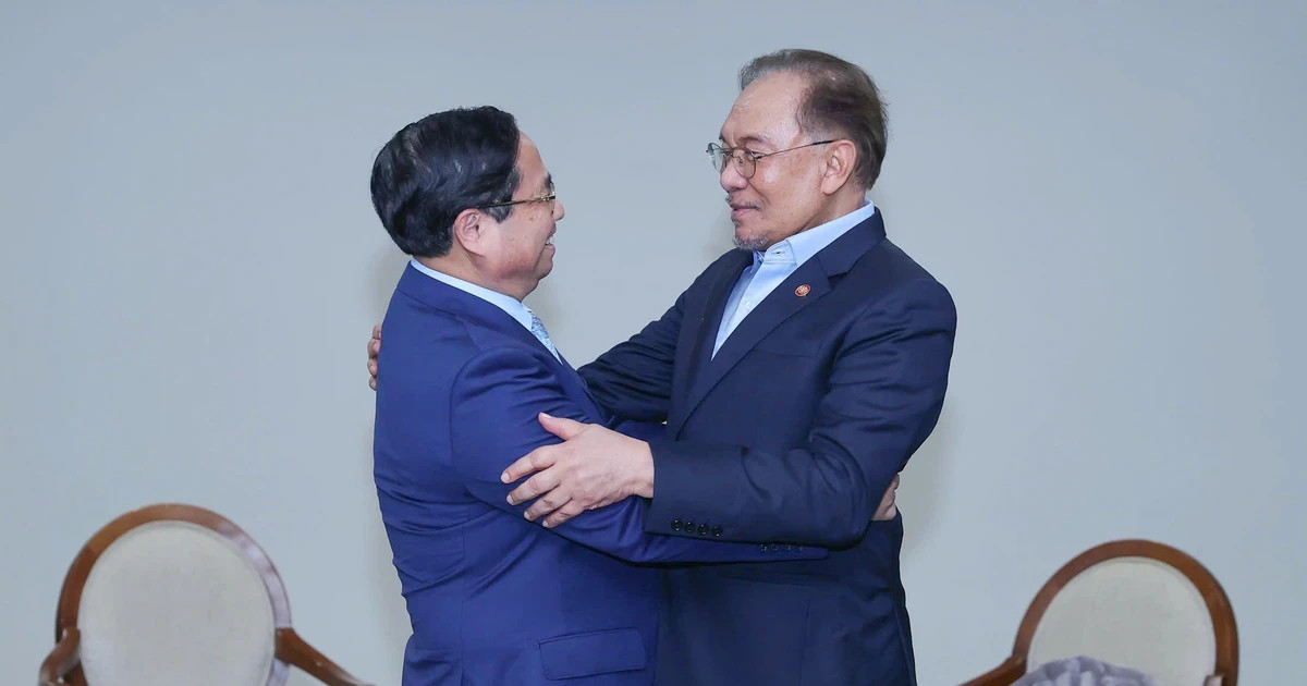 Vietnamese, Malaysian PMs have meeting on BRICS summit sidelines