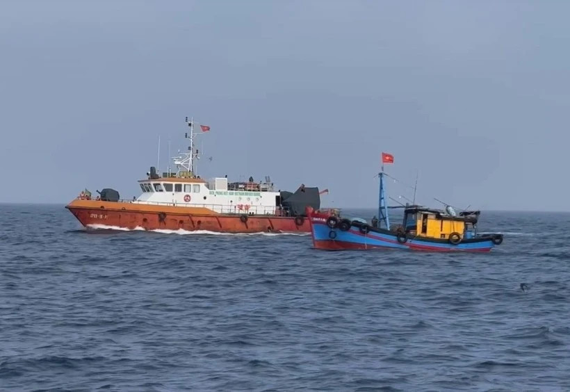Dong Thap province intensifies efforts to combat IUU fishing