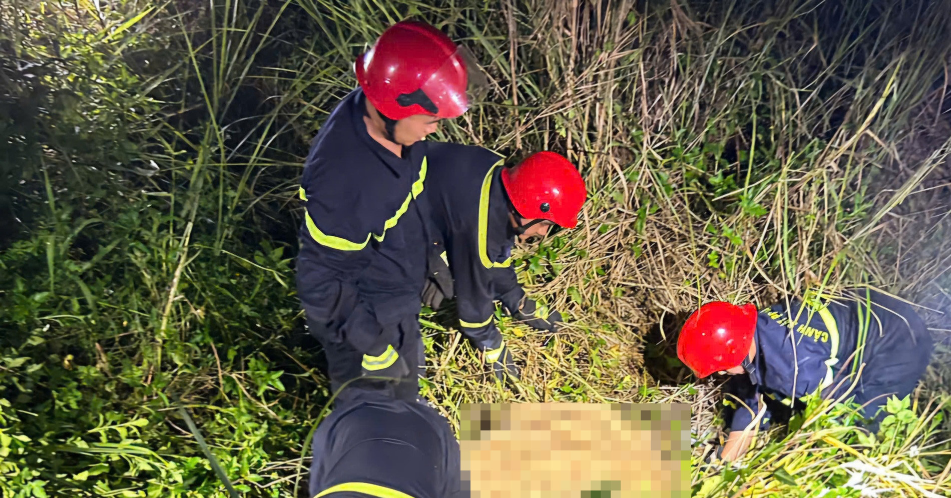 Tourist dies in paragliding accident on Son Tra Peninsula