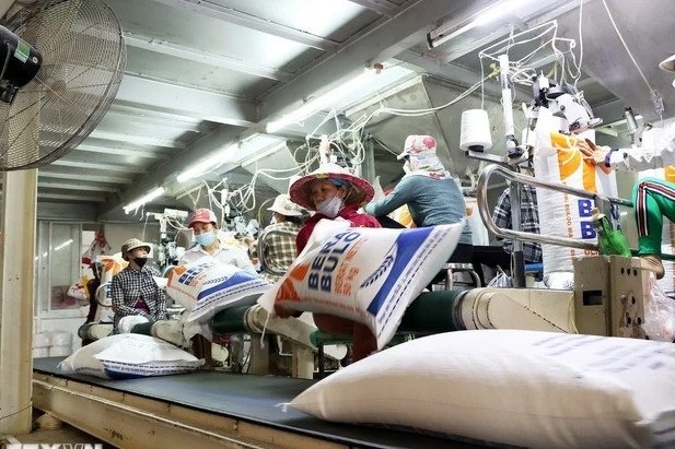 Vietnam’s agricultural exports: rice volume rises, value falls in H1