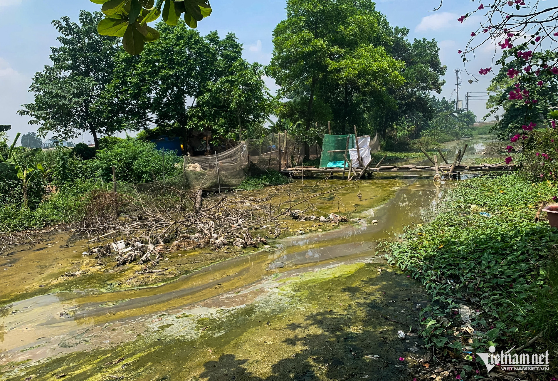 pollution vn.jpg3.jpg