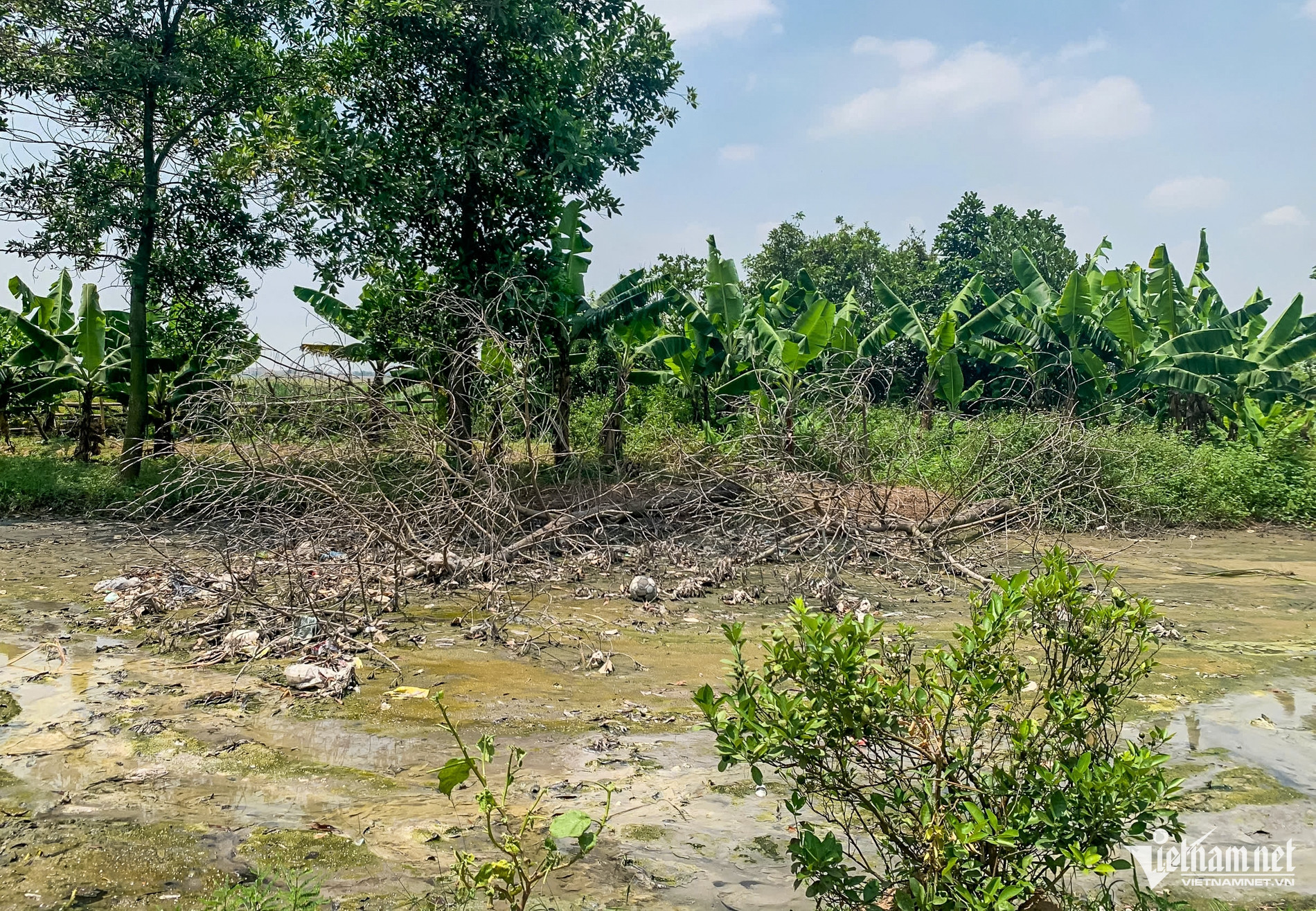 pollution vn.jpg5.jpg