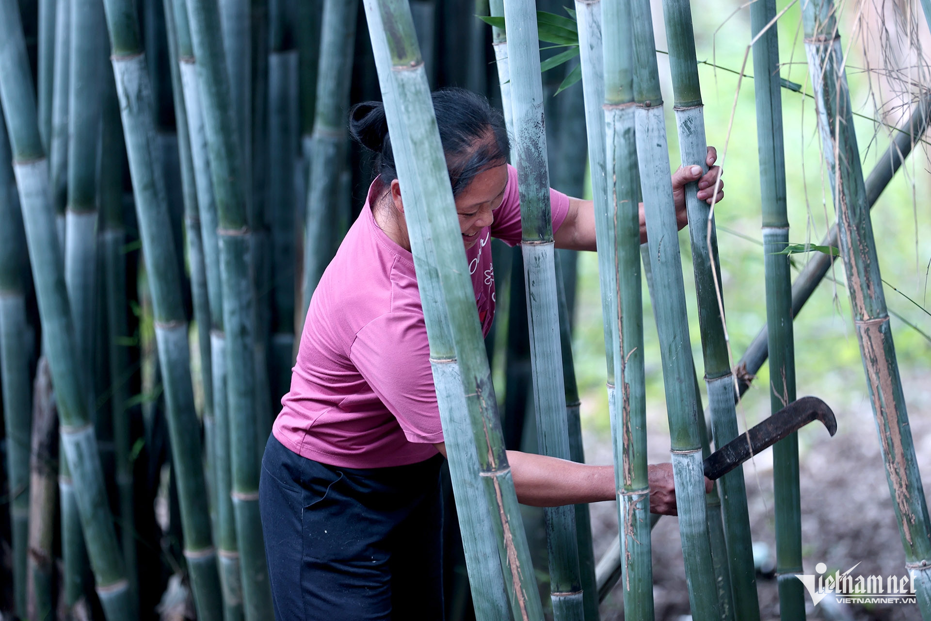 W-Nón lá chúp xà 2.jpg