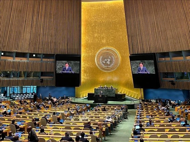 Vietnam committed to contributing to two-state solution implementation