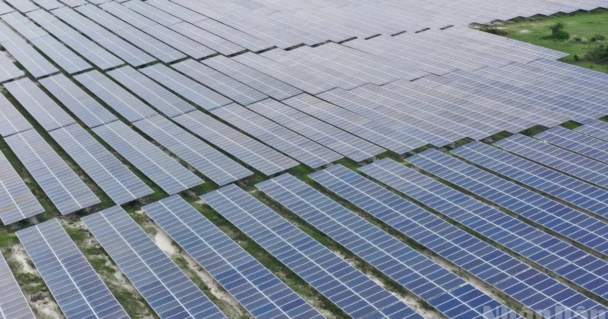 Vietnam eyes green growth: unlocking capital and talent for clean energy