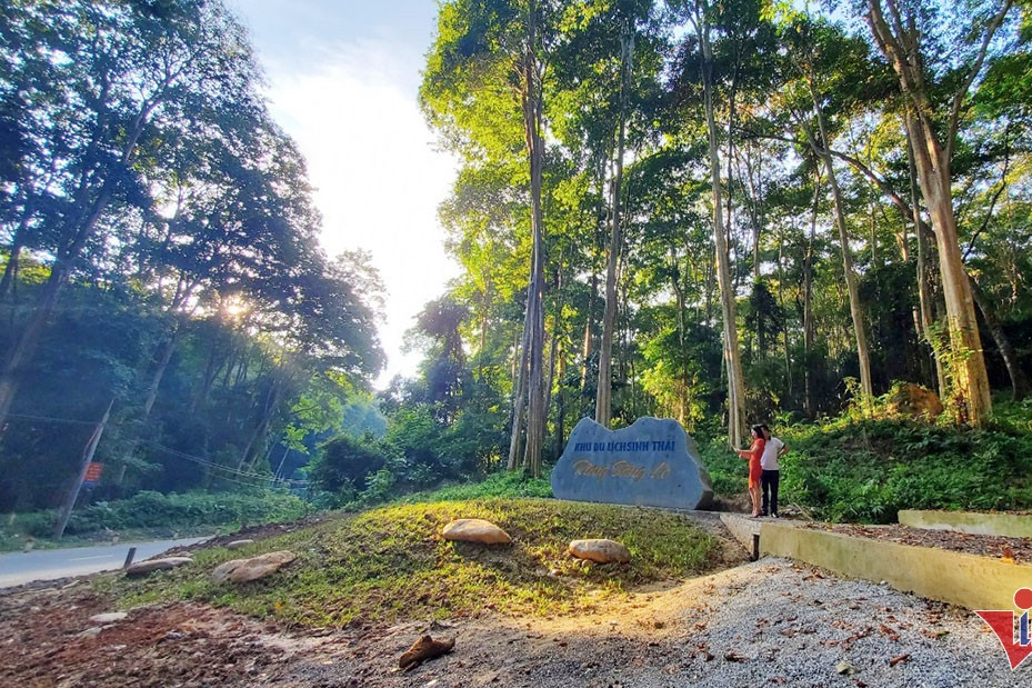 Forests fuel economic growth through sustainable development