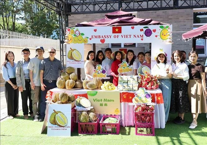 Vietnam’s durian featured at first ASEAN–China Durian Festival