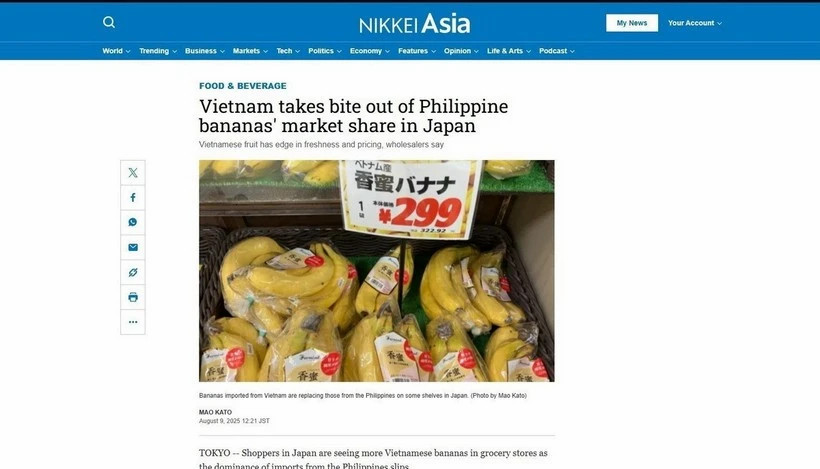 Vietnamese bananas gain foothold in Japan