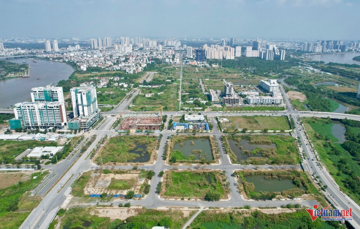 W-thủ thiêm đấu giá.jpg