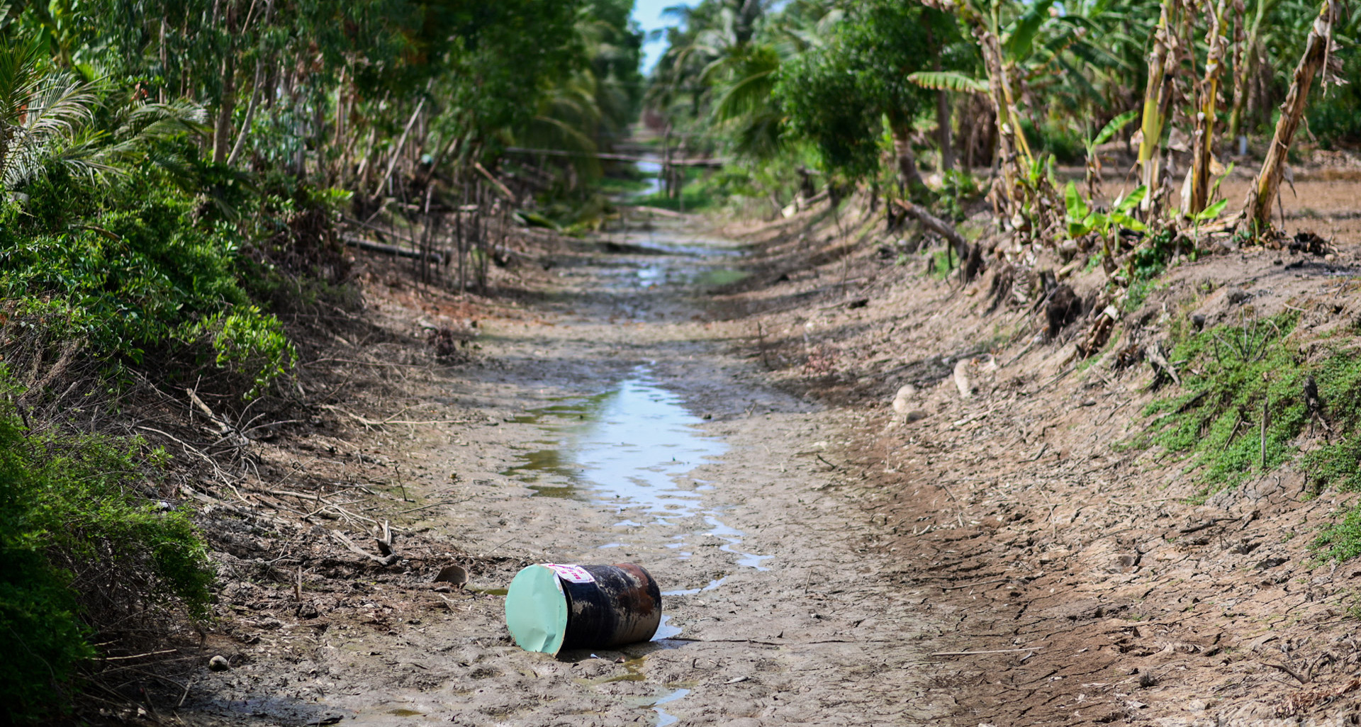 Vietnam steps up Net Zero journey with strong global and domestic action