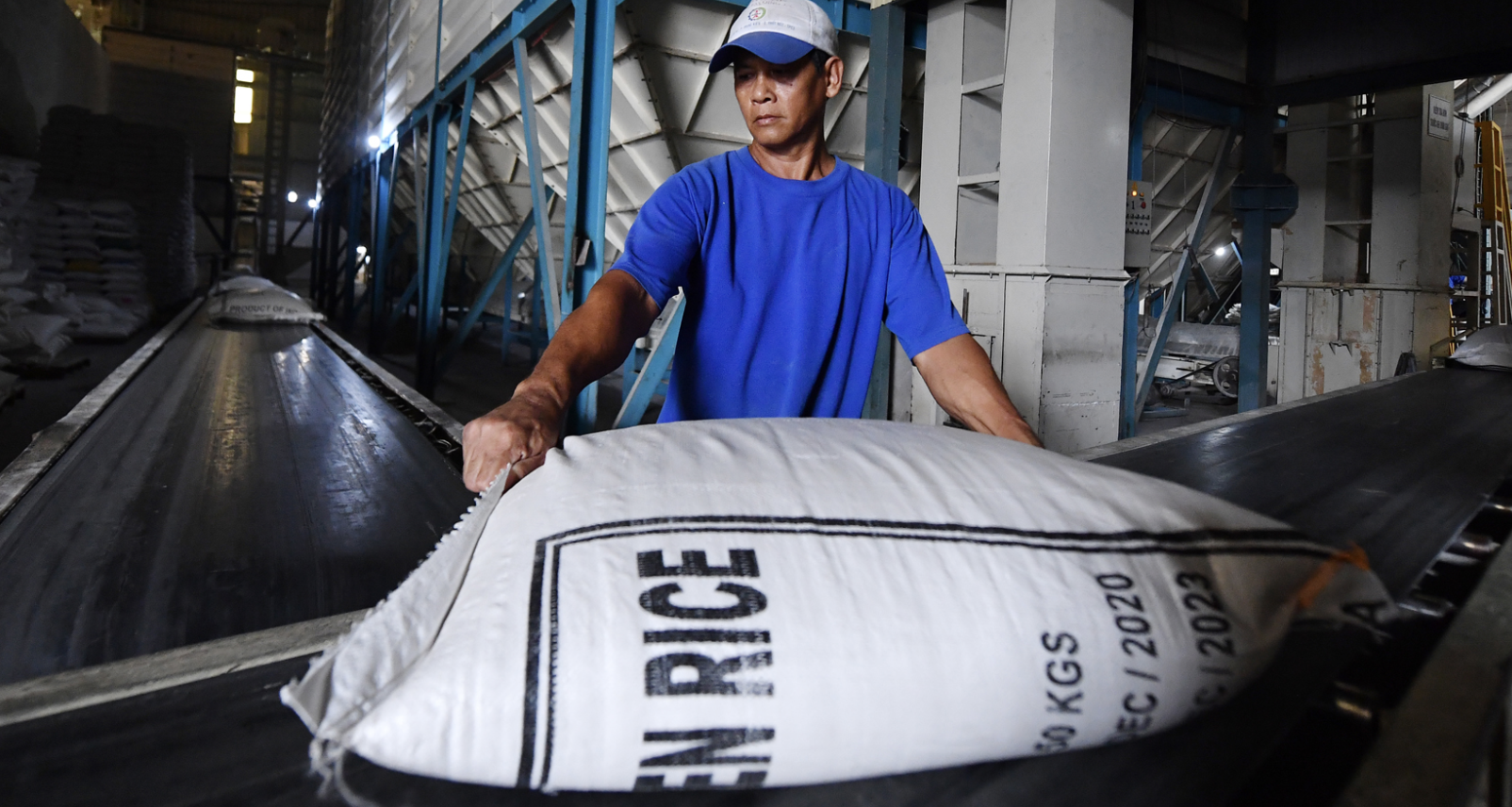 Vietnam climbs to No. 2 in rice exports, unveils low-emission variety