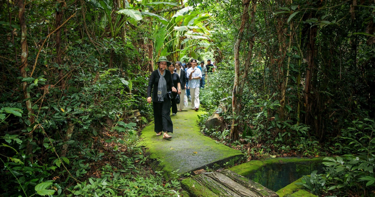 ‘VITA Green’ label set to boost Vietnam’s global sustainable tourism
