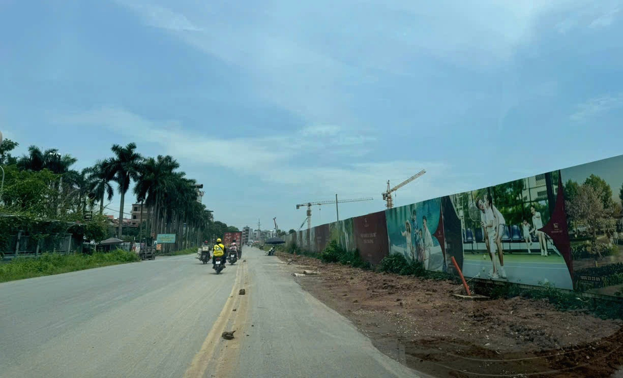 bds Dan Phuong DuyAnh.jpg