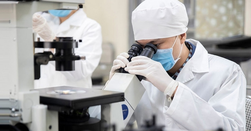 Foreign experts may get fast-track Vietnamese citizenship after assignments