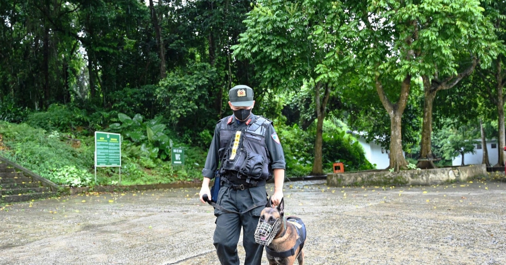 Nearly 100 join search for missing tourist in Cuc Phuong forest