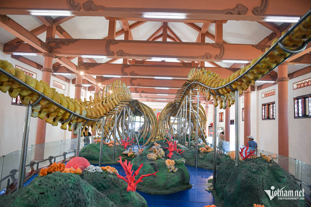 W-xuong ca ong la ly son 20.jpg