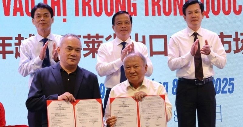 Gia Lai connects with China to boost agricultural exports