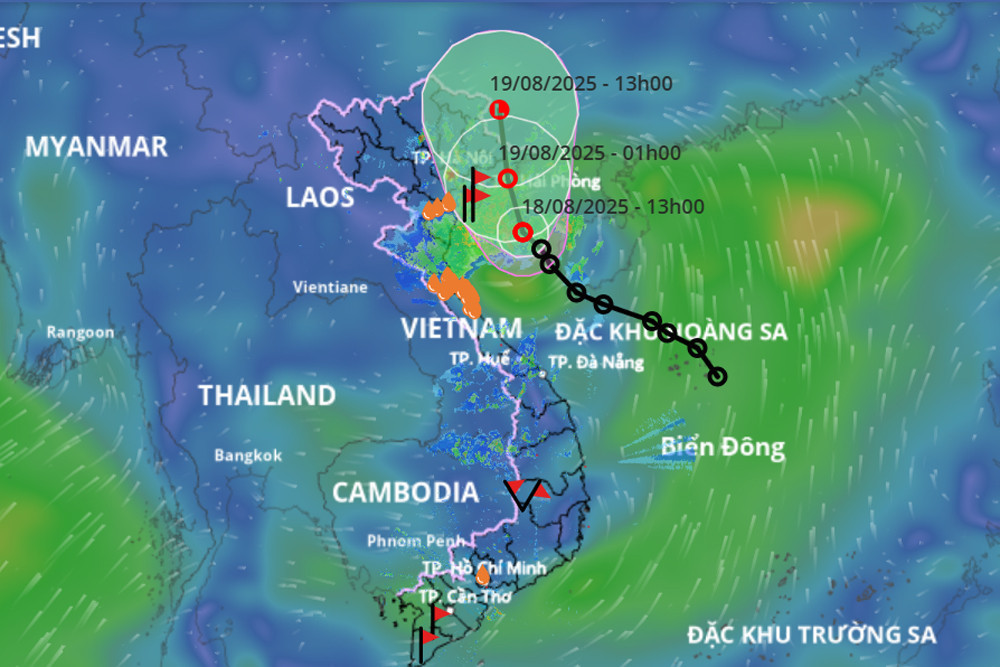 ap thap nhiet doi 3.jpg