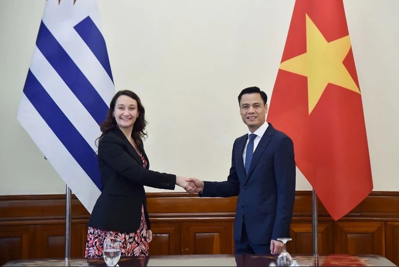 Vietnamese, Uruguayan foreign ministries hold 5th political consultation