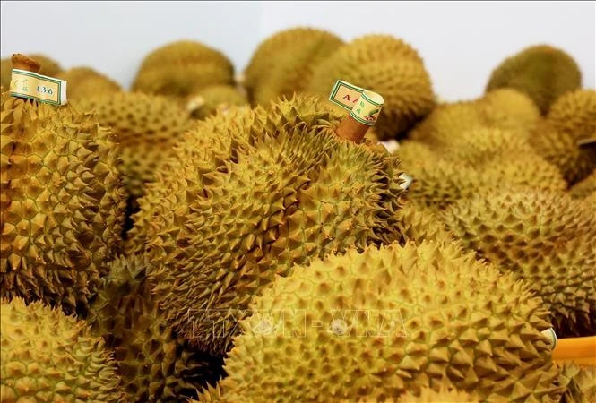 Vietnam’s fruit, vegetable exports regain growth momentum