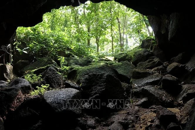 Beneath Vietnam’s forest, a cave system ranks among Southeast Asia’s longest