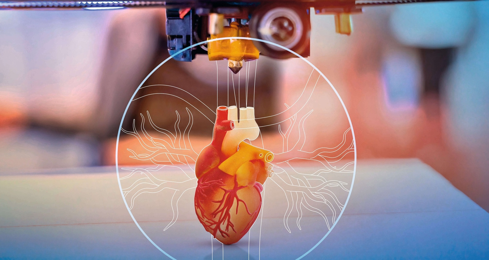 From virtual hearts to chip factories: Vietnam’s workforce of the future