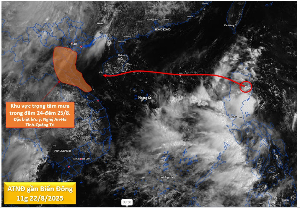 ap thap nhiet doi 2.jpg