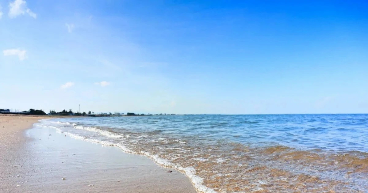 Two Vietnamese youths honored in Japan for heroic rescue