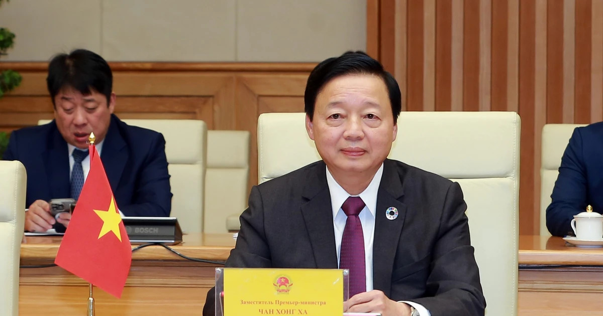 Vietnamese, Russian Deputy PMs discuss economic, technical ties