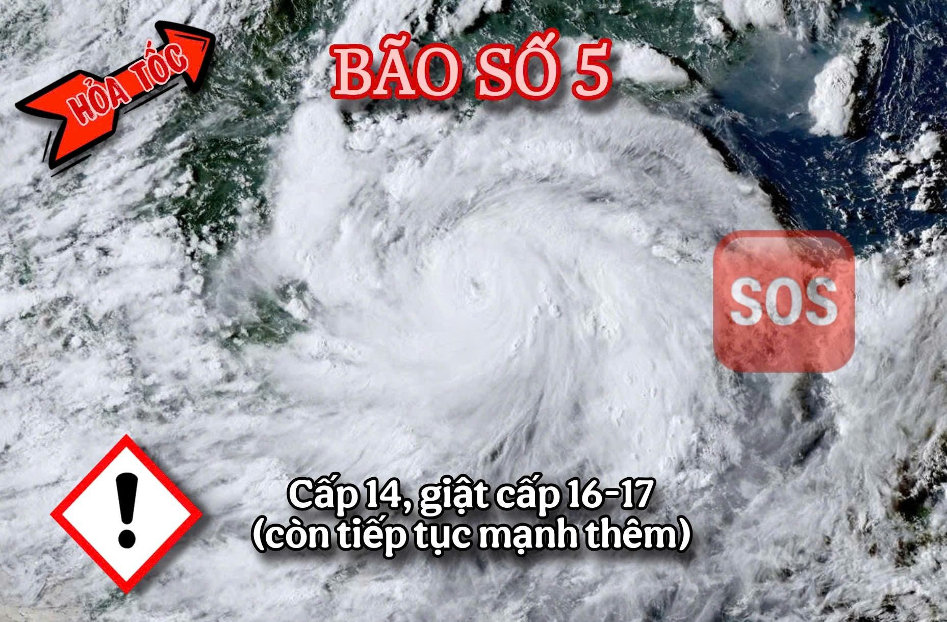 bao so 5 toi 24 5.jpg