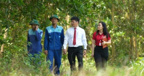 Banks power Vietnam’s entry into the global carbon credit market